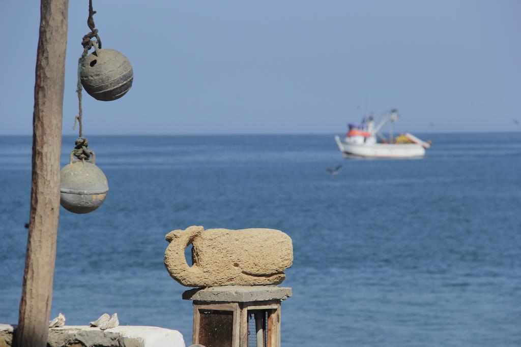 Punta Ballenas Mancora Lodge Zewnętrze zdjęcie