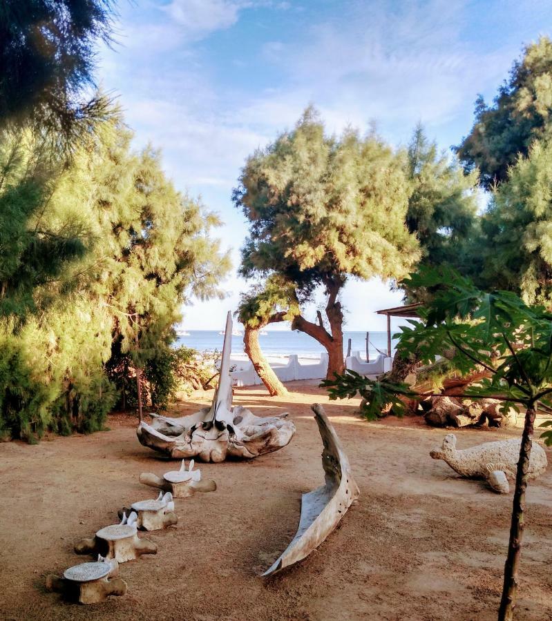 Punta Ballenas Mancora Lodge Zewnętrze zdjęcie